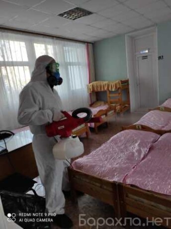uborka-pomeshhenii-klining-v-penze-predlozenie-uslugi-v-obieiavlenii-u27293027-na-baraxlanet-big-0