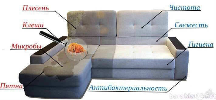 uborka-kvartir-domov30avantaklining-v-samare-predlozenie-uslugi-v-obieiavlenii-u8401482-3880144-na-baraxlanet-big-2