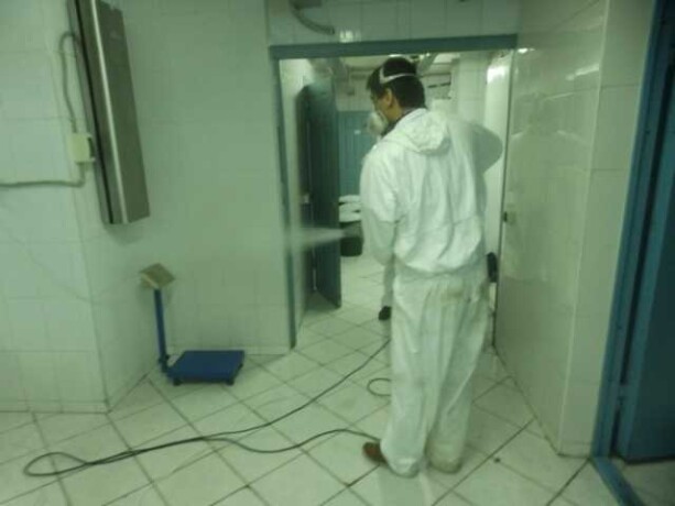 ximcistka-miagkoi-mebeli-kovrov-30-predlozenie-uslugi-v-obieiavlenii-u8653611-4009247-na-baraxlanet-big-4