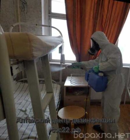 ximcistka-kovrov-divanov-matrasov30-predlozenie-uslugi-v-obieiavlenii-u8653341-4009053-na-baraxlanet-big-1