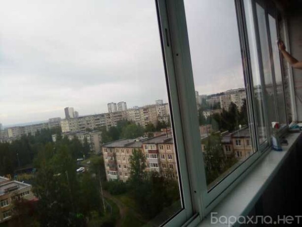 zakazat-vyvoz-musora-xlama-vetok-v-omske-predlozenie-uslugi-v-obieiavlenii-u10912845-4688911-na-baraxlanet-big-5