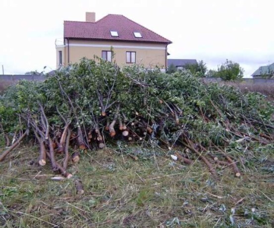 domrabotnica-1-raz-v-nedeliu-v-kazani-spros-na-uslugu-v-obieiavlenii-u27164864-na-baraxlanet-big-3
