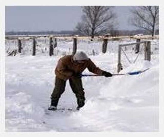 uborka-territorii-snega-vyvoz-musora-v-omske-predlozenie-uslugi-v-obieiavlenii-u8050187-3800696-na-baraxlanet-big-4