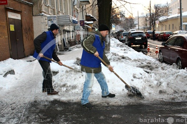 vyvoz-pogruzka-musorauborka-territori-v-ufe-predlozenie-uslugi-v-obieiavlenii-u8401810-3880543-na-baraxlanet-big-3