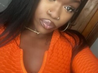 shemale-escort-in-chicago-il