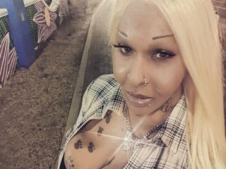 kam-shemale-escort-in-phoenix-az