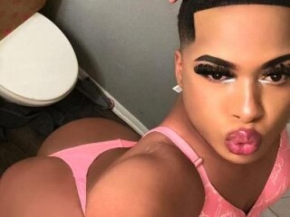 cookie-shemale-escort-in-queens-ny-305-462-2703