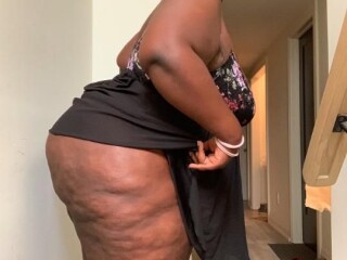 female-escorts-in-charlotte-nc-813-444-8539