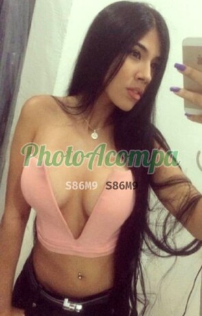 priscila-araujo-morenaca-de-tirar-o-falego-nova-na-cidade-com-local-photoacompanhantes-big-0