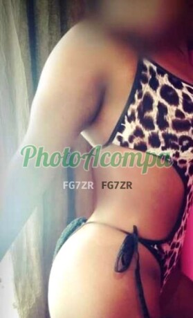 pyettra-uma-namoradinha-mulata-bem-safada-faz-um-maravilhoso-oral-sem-camisinha-photoacompanhantes-big-2