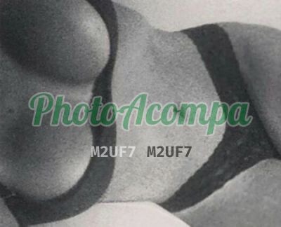 anna-sou-iniciante-na-putaria-trabalho-porque-gosto-uma-puta-safada-photoacompanhantes-big-3