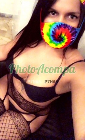 mulata-deliciosa-dotada-sou-completinha-venha-conferir-photoacompanhantes-big-1