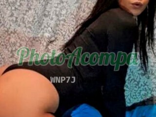 dayane-scarlett-linda-gostosa-e-novidade-na-regiapso-vem-photoacompanhantes