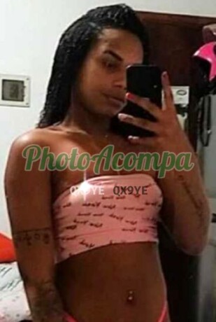 nicolly-novidade-e-com-local-gata-trans-20cm-de-dote-photoacompanhantes-big-3