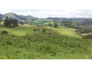 fazenda-pra-cultura-e-gado-196-hectares-com-5-casas-caldas-mg-chacaras-e-sitios-a-venda