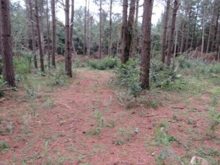 vendo-chacara-5-4-hectares-no-bairro-restinga-porto-alegre-sul-chacaras-e-sitios-a-venda