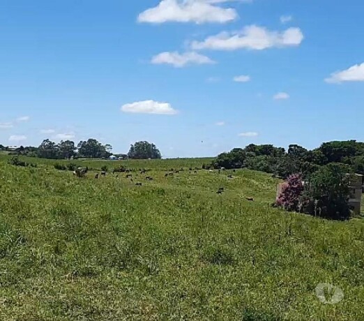 fazenda-multiprodutiva-de-168ha-em-porto-alegre-rs-porto-alegre-sul-chacaras-e-sitios-a-venda-big-3