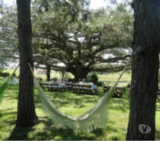 fazenda-multiprodutiva-de-168ha-em-porto-alegre-rs-porto-alegre-sul-chacaras-e-sitios-a-venda-big-1