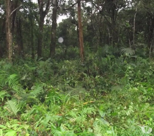 terreno-com-280mts-em-itanhaem-sp-itanhaem-sp-encontre-terrenos-a-venda-itanhaem-sp-big-2