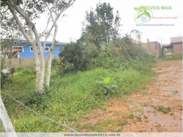 terreno-com-255-m2-no-bairro-jd-das-palmeira-itanhaem-sp-itanhaem-sp-encontre-terrenos-a-venda-itanhaem-sp-big-2