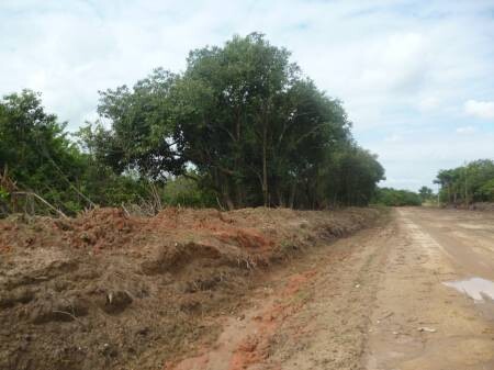 super-terreno-103000m2-piranema-seropedica-rj-r2500-m2-itaguai-rj-encontre-terrenos-a-venda-itaguai-rj-big-3
